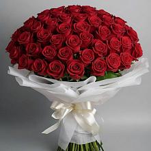Букет 101 Красная роза Блэк Мэджик в Коренево