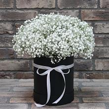 Цветочная композиция из Гипсофила в шляпной коробке в Коренево