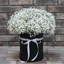 Цветочная композиция из Гипсофила в шляпной коробке в Коренево