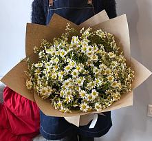 Букет цветов из:  Ромашки #REPLACE_PRED# Коренево